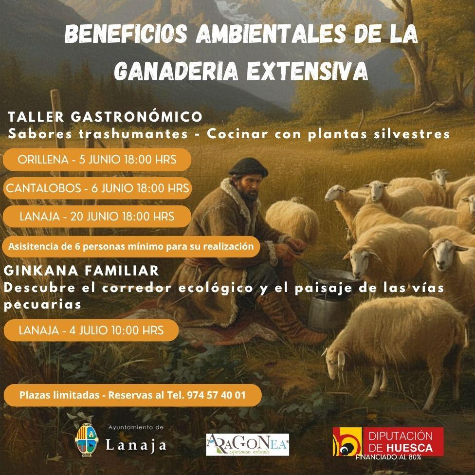 Imagen Taller Gastronómico en LANAJA : Taller Trashumantes.- Cocinar con Plantas Silvestres
